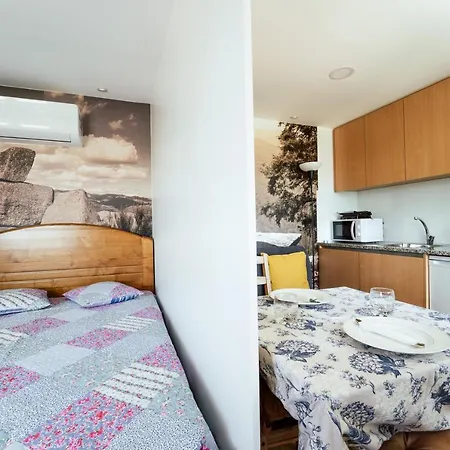 Landhuis Canastro Do Vidoeiro Vieira do Minho