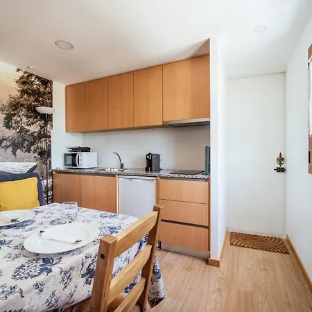 Canastro Do Vidoeiro *