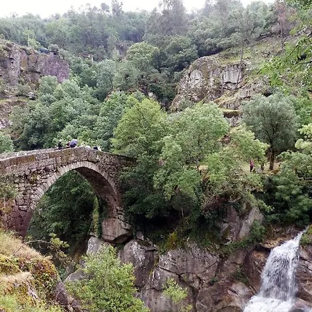 Canastro Do Vidoeiro *