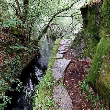 Landhuis Canastro Do Vidoeiro Vieira do Minho