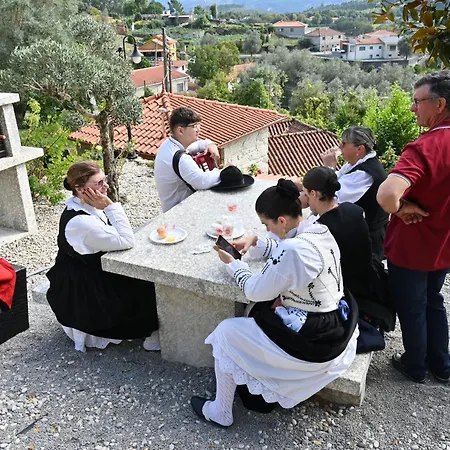 Canastro Do Vidoeiro *