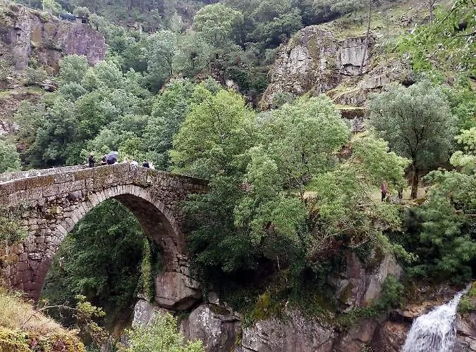 Canastro Do Vidoeiro *