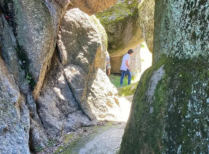 Kır Evi Canastro Do Vidoeiro *
