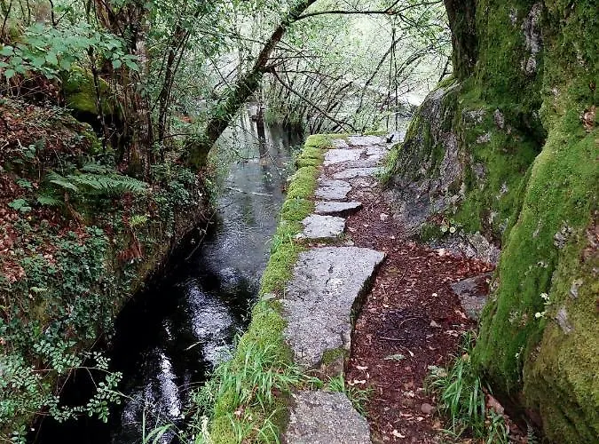Kır Evi Canastro Do Vidoeiro Vieira do Minho